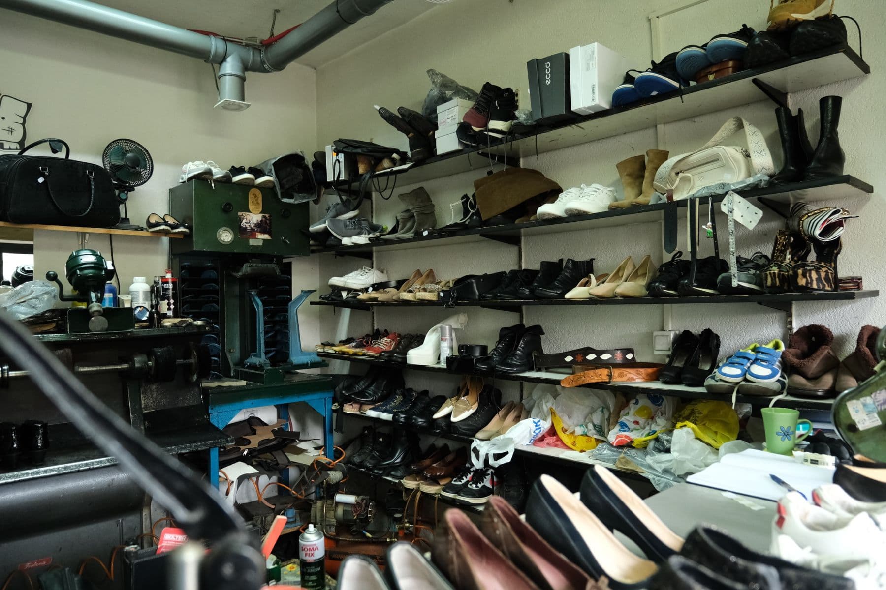 Foto: Aleksandar Stupar/ Vajb.info